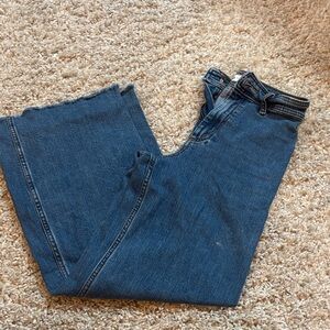 Zara Sky Blue Denim Pants